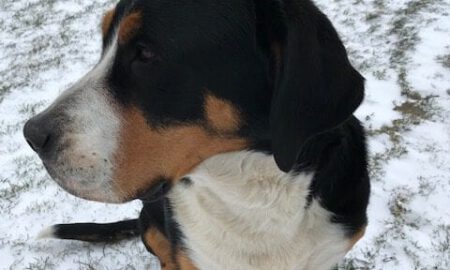 Evi is weer van haar trauma af!