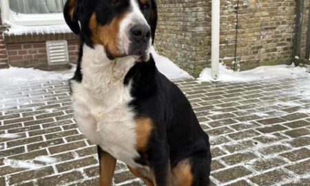 Evi is weer van haar trauma af!